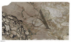 ARABESCATTO CHOCOLATE 2CM HONED