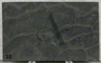 VICTORIA REGINA 2CM SOFT LEATHRED