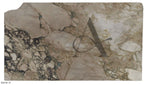 ARABESCATTO CHOCOLATE 2CM HONED