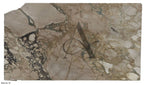 ARABESCATTO CHOCOLATE 2CM HONED
