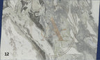 OYSTER WHITE 3CM HONED