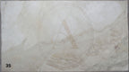 BRECCIA AURORA 2CM HONED