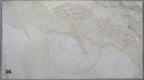 BRECCIA AURORA 2CM HONED