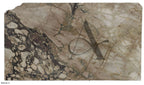 ARABESCATTO CHOCOLATE 2CM HONED