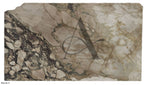 ARABESCATTO CHOCOLATE 2CM HONED