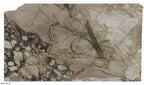 ARABESCATTO CHOCOLATE 2CM HONED