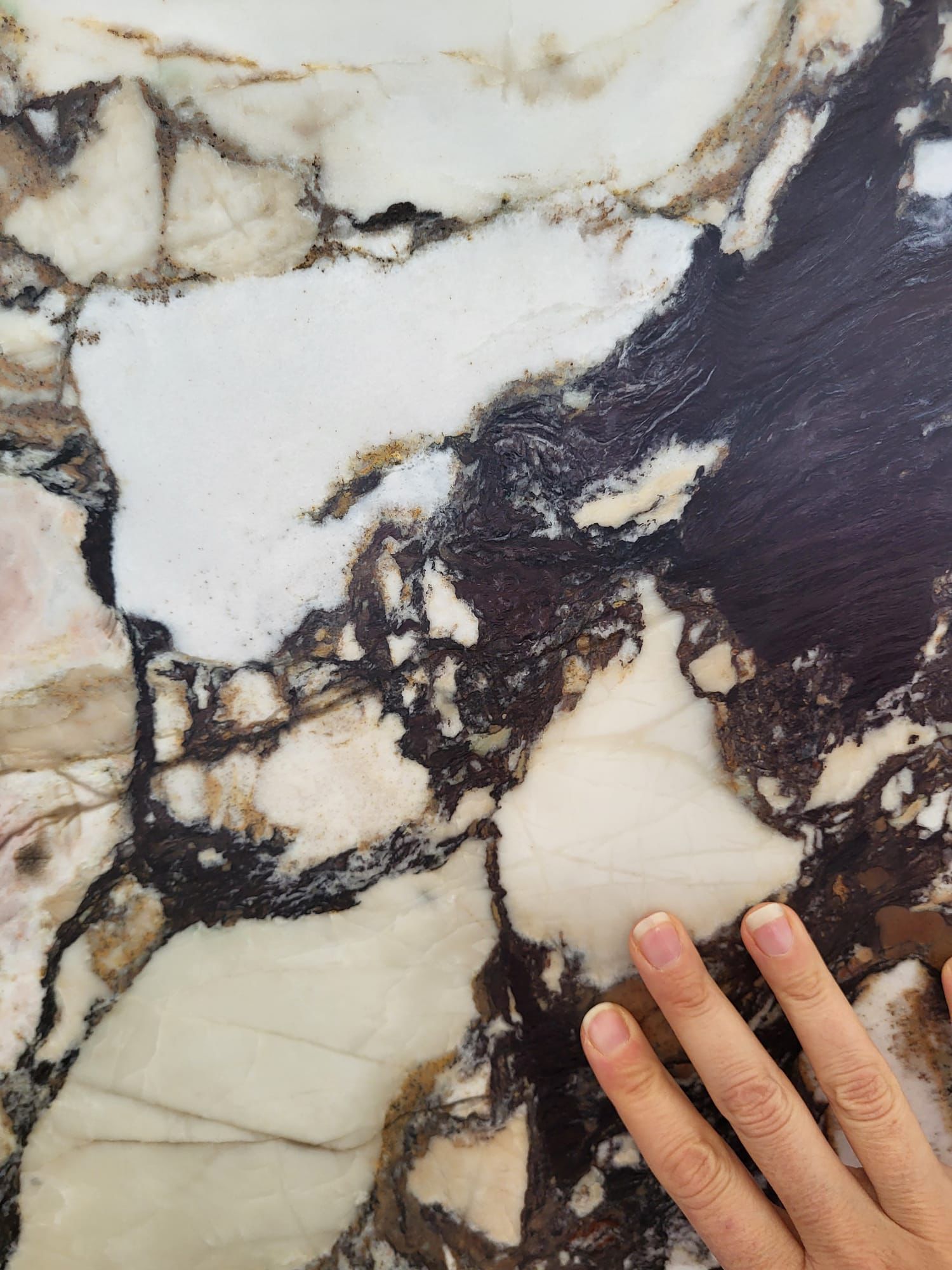 CALUCATTA BRECCIA DE MEDECI 2CM HONED