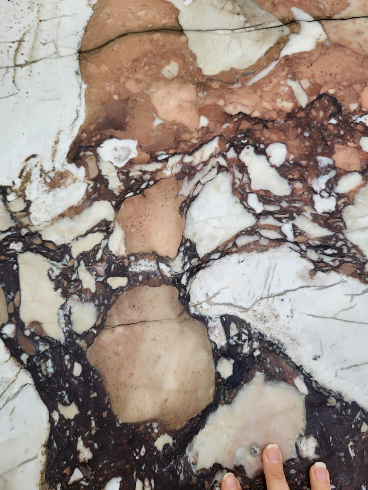 CALUCATTA BRECCIA DE MEDECI 2CM HONED
