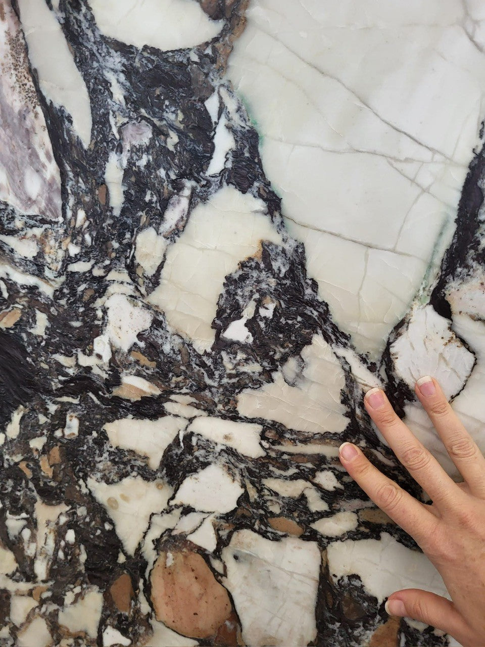 CALUCATTA BRECCIA DE MEDECI 2CM HONED