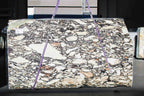 CALUCATTA BRECCIA DE MEDECI 2CM HONED