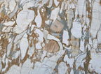 CALUCATTA LEONARDO 2CM HONED