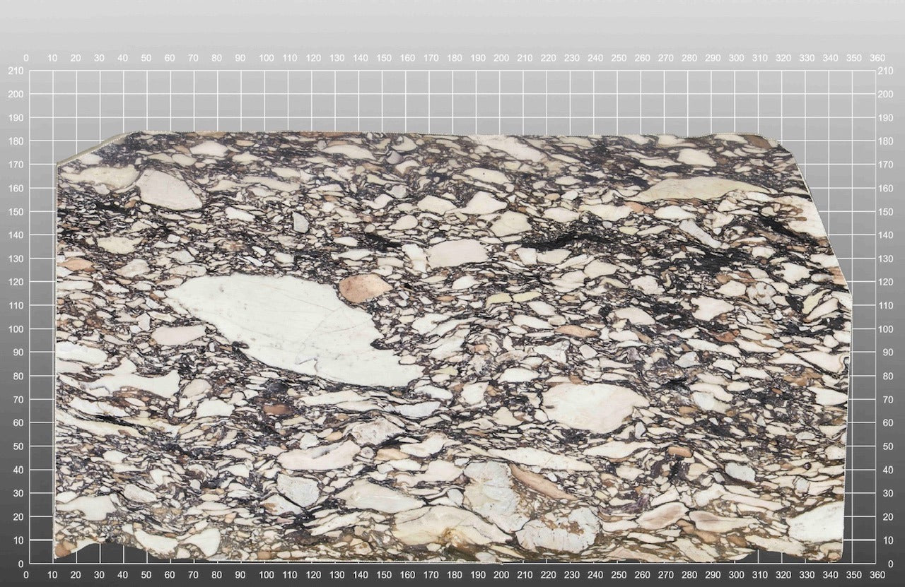 CALUCATTA BRECCIA DE MEDECI 2CM HONED