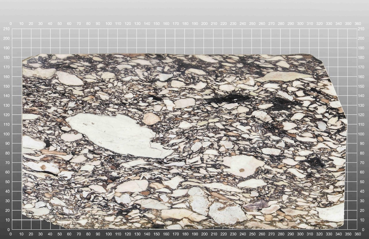 CALUCATTA BRECCIA DE MEDECI 2CM HONED